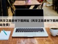 芜湖风华之路素材下载网站（风华之路素材下载网站免费）